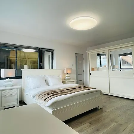 Apartamento Milescu Center *