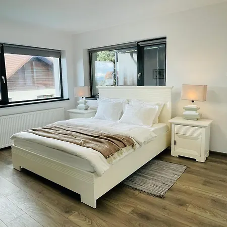 Apartamento Milescu Center *