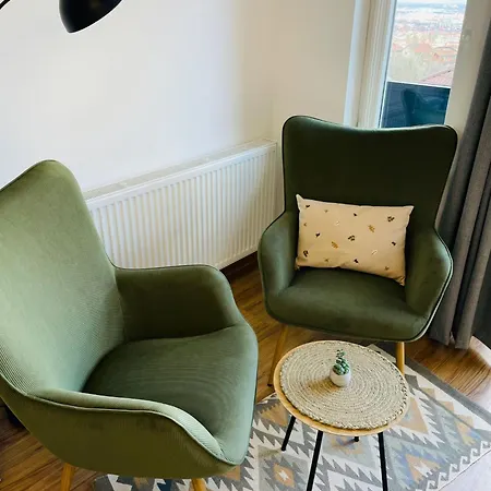 Apartamento Milescu Center *