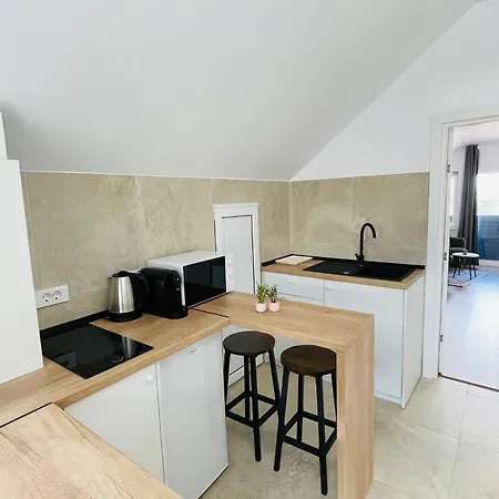 Milescu Center Apartamento